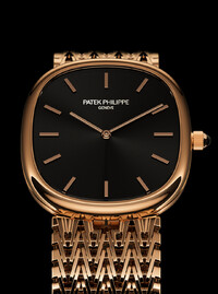 Patek Philippe - Golden Ellipse - © Area of Work